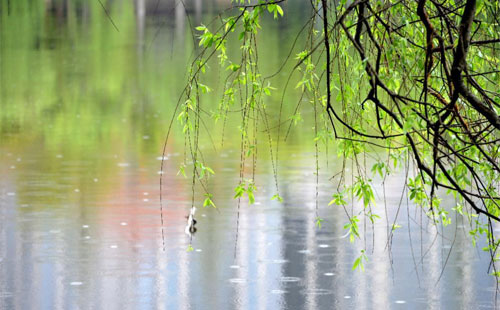 雨中的坚固守护 —— 苏兰彩钢的产品在雨季的应用实践